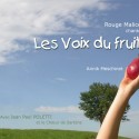 Voix Du Fruit